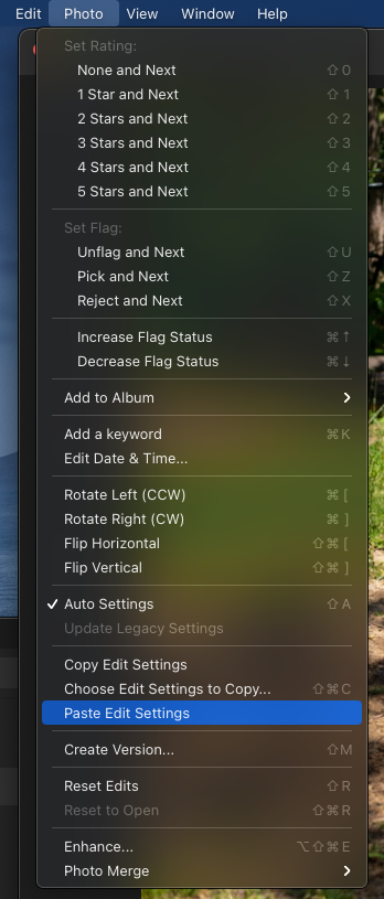 Select paste edit settings button